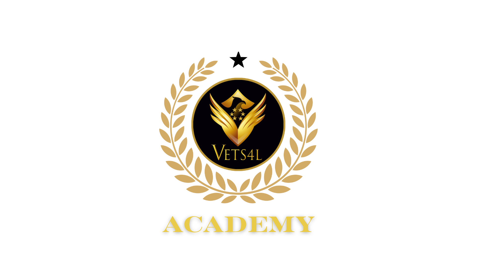 vets4l academy logo